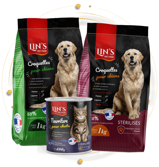 agence de design réseaux sociaux